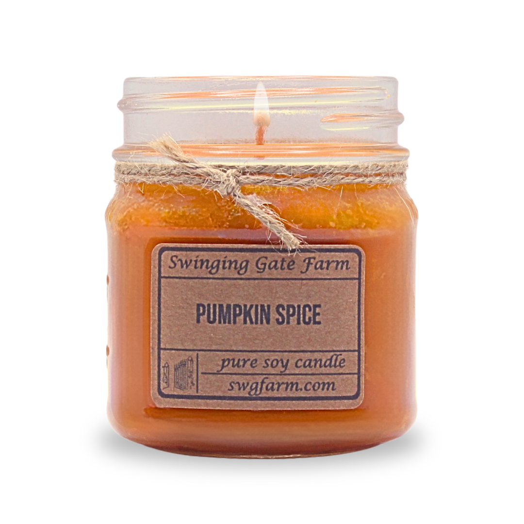 Pumpkin Spice - 8oz candle - Farmhouse Collection
