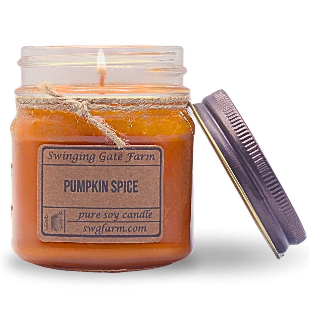 Pumpkin Spice - 8oz candle - Farmhouse Collection