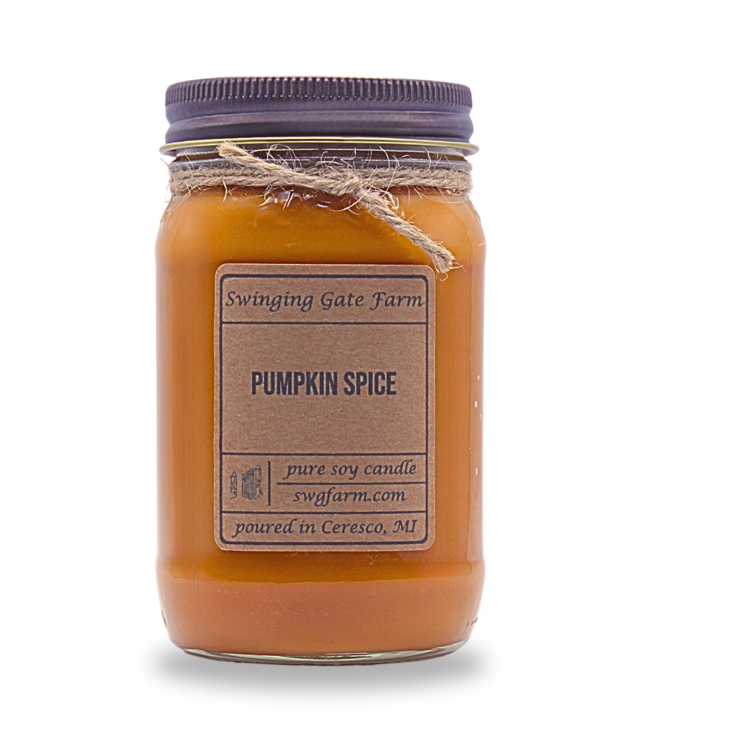 Pumpkin Spice - 16oz candle - Farmhouse Collection