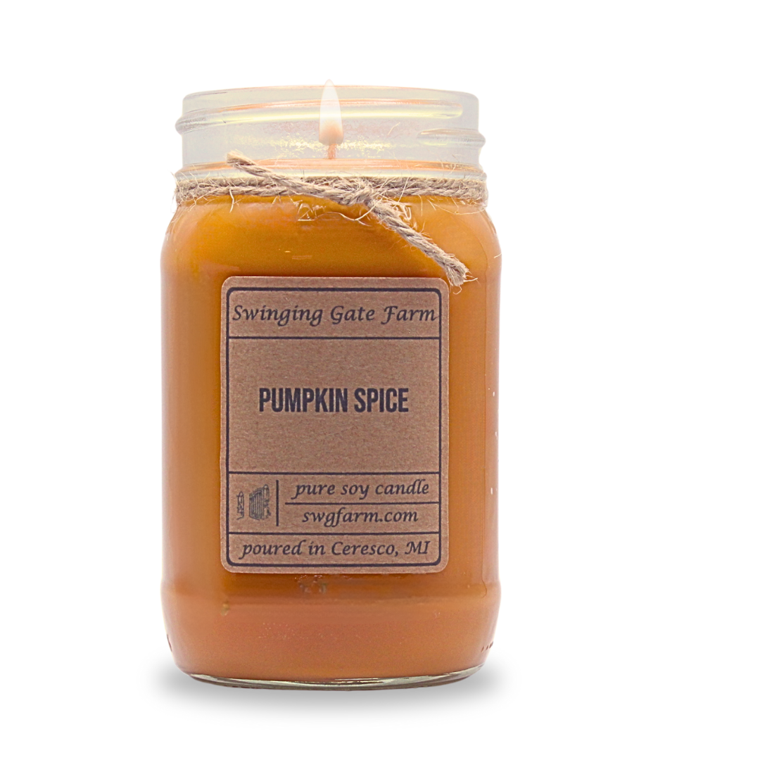 Pumpkin Spice - 16oz candle - Farmhouse Collection