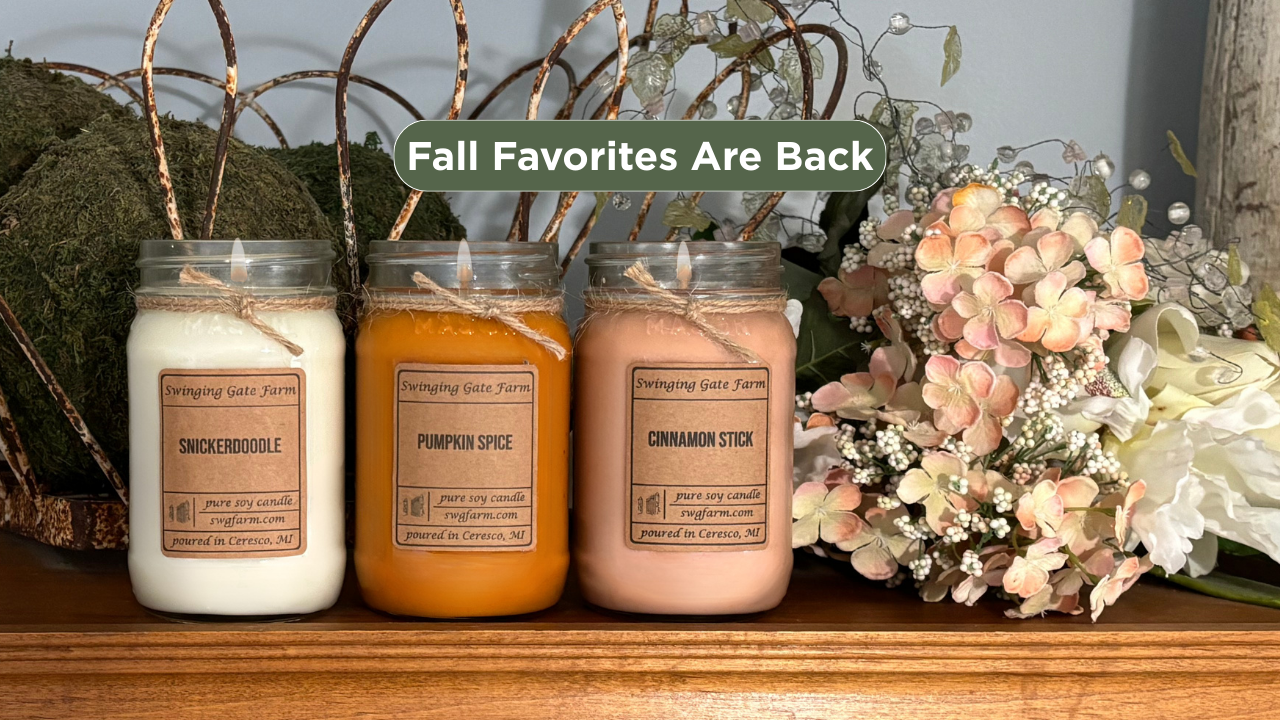 Pumpkin Spice, Snickerdoodle, Cinnamon Stick - 16oz candle - Farmhouse Collection