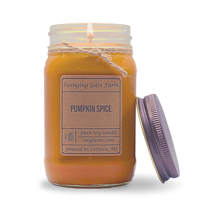 Pumpkin Spice - 16oz candle - Farmhouse Collection
